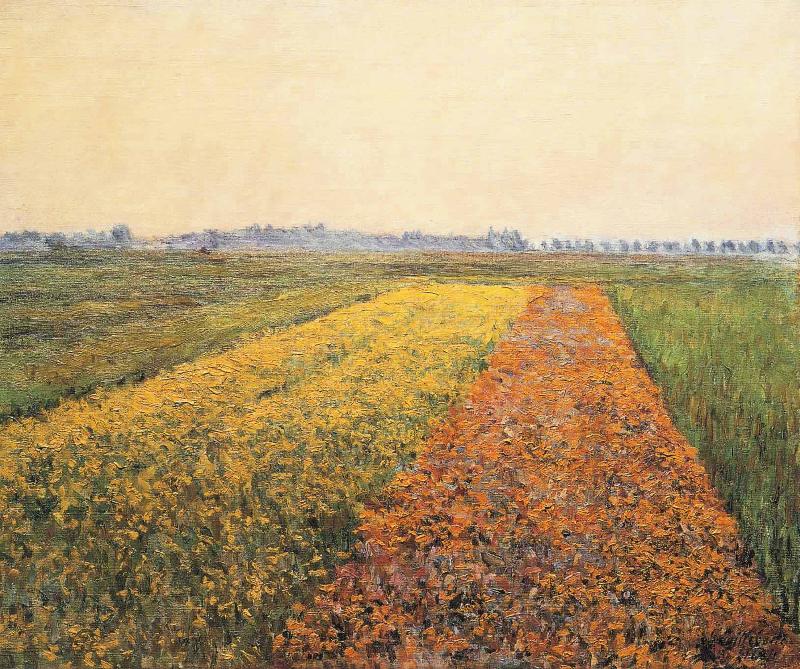Gustave Caillebotte The Yellow Fields at Gennevilliers Norge oil painting art